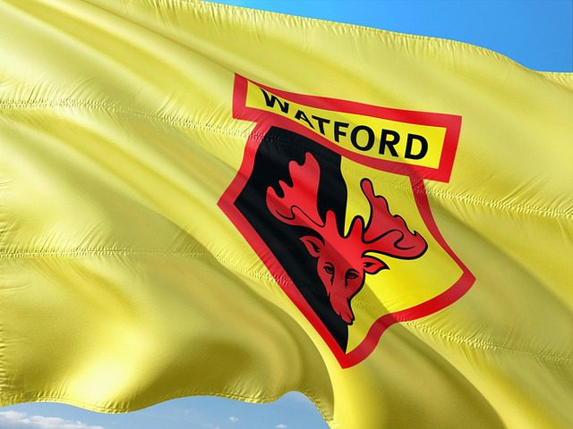 Watford FC Flag