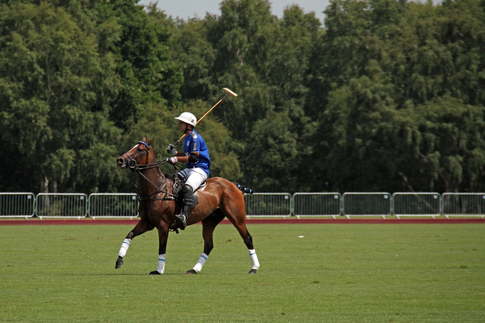 A Polo Player on a Horse